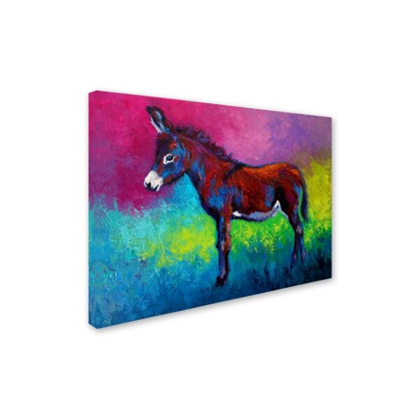 Marion Rose 'Donkey Jenny' Canvas Art,14x19